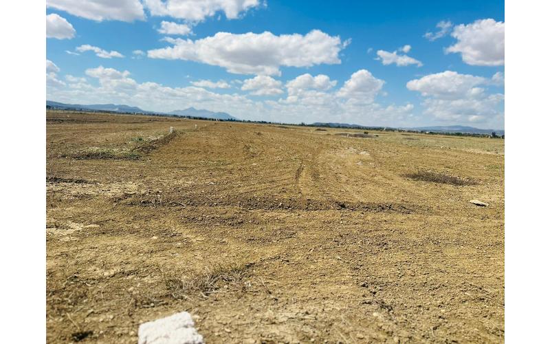 Terrain